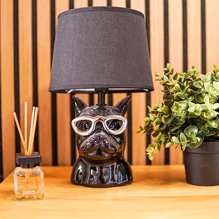 Stylisches Stadtnest Mit Xbox * ヴッパータール